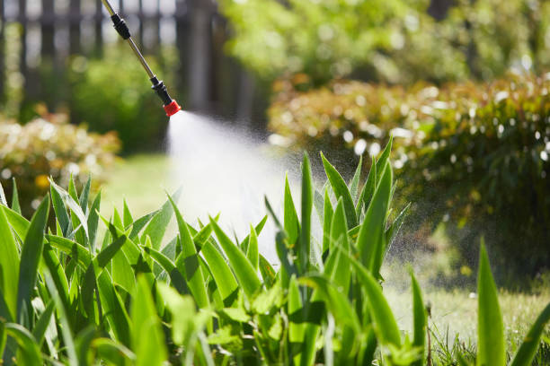 24/7 Emergency Ant Control experts in Lexington, MO